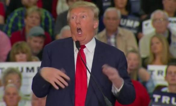 trump-mocks-disabled